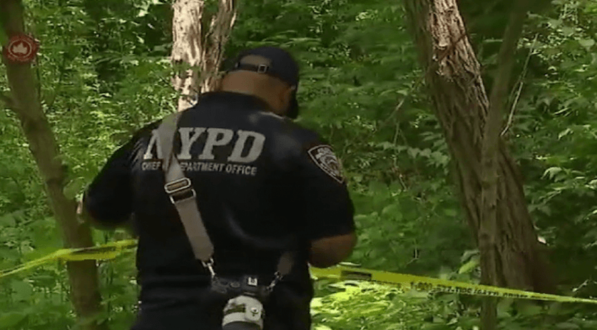 NYC Residents Outraged After Brutal Assault of 13-Year-Old by Illegal Immigrant
